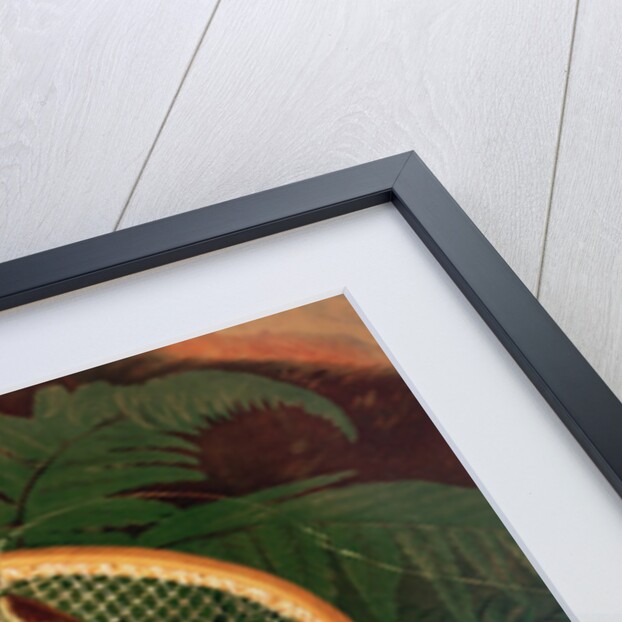 Still Life with a Salmon Trout, a Rod and a Net by Thomas Sedgwick Steele