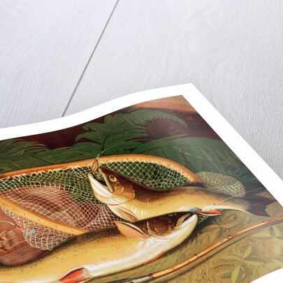 Still Life with a Salmon Trout, a Rod and a Net by Thomas Sedgwick Steele