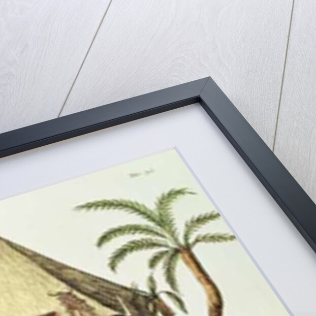 Divine Offerings Made to Captain Cook in the Sandwich Islands by Italian School