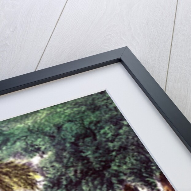 A Halt by the Wayside by N. and Ives J.M. Currier