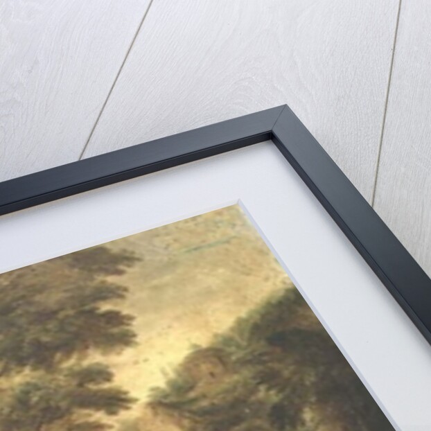 Noah entering the Ark by Frans II Francken