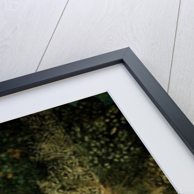 Hunting dogs and men climbing a tree by Matteo Giovanetti