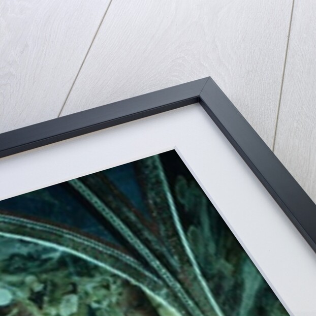 Scenes from The Life of St. John the Baptist by Matteo Giovanetti