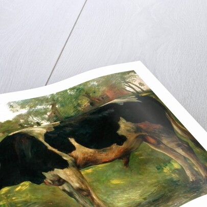 The painter Charlotte Berend with a bull, 1902 by Lovis Corinth