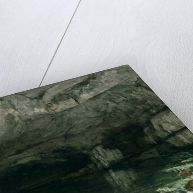 The Grotto of the Loue, 1864 by Gustave Courbet