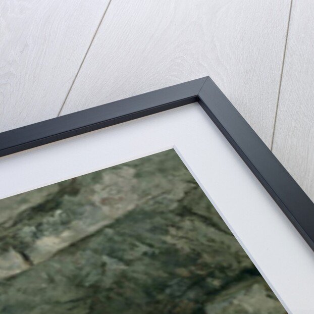 The Grotto of the Loue, 1864 by Gustave Courbet