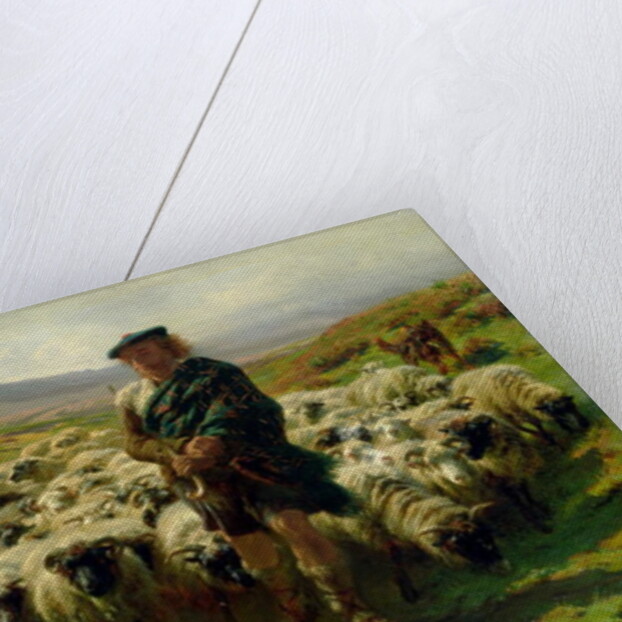 The Highland Shepherd, 1859 by Rosa Bonheur