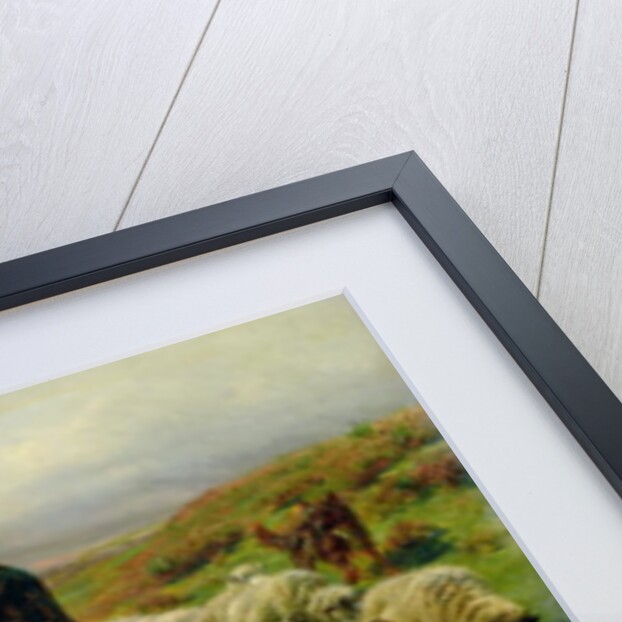 The Highland Shepherd, 1859 by Rosa Bonheur