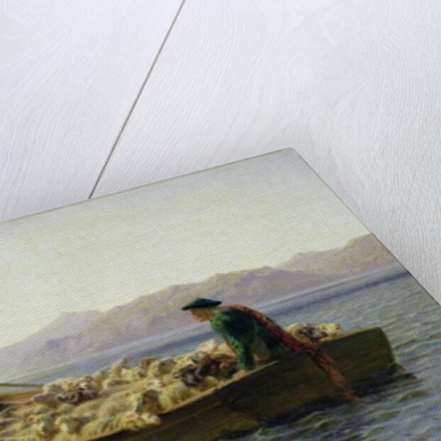 Rowing-Boat, 1863 by Rosa Bonheur