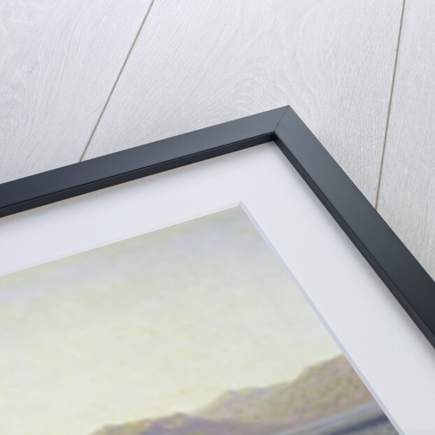 Rowing-Boat, 1863 by Rosa Bonheur