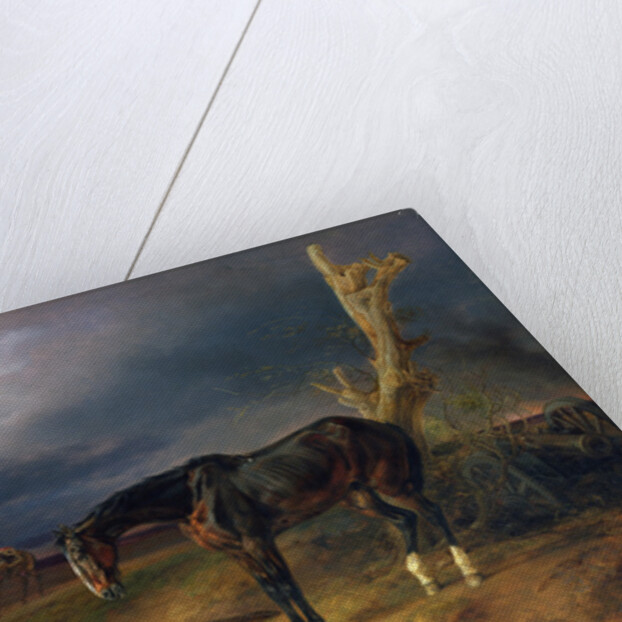 Ownerless Horse on the Battlefield at Moshaisk in 1812, 1834 by Albrecht Adam