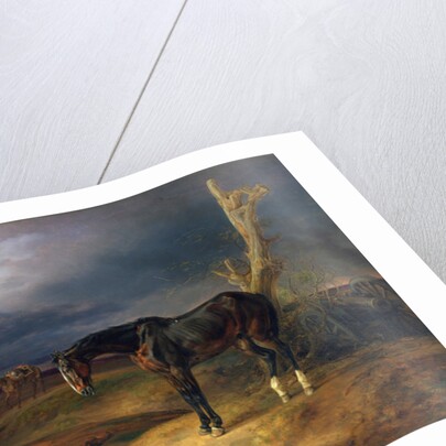 Ownerless Horse on the Battlefield at Moshaisk in 1812, 1834 by Albrecht Adam