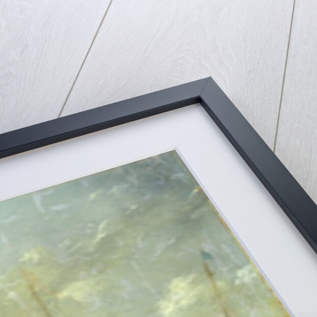 The Old Port of Genoa by Nicolaes Pietersz. Berchem