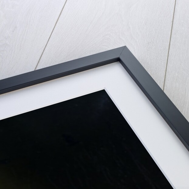 Still life with a Bible, 1821 by Karl von Bergen