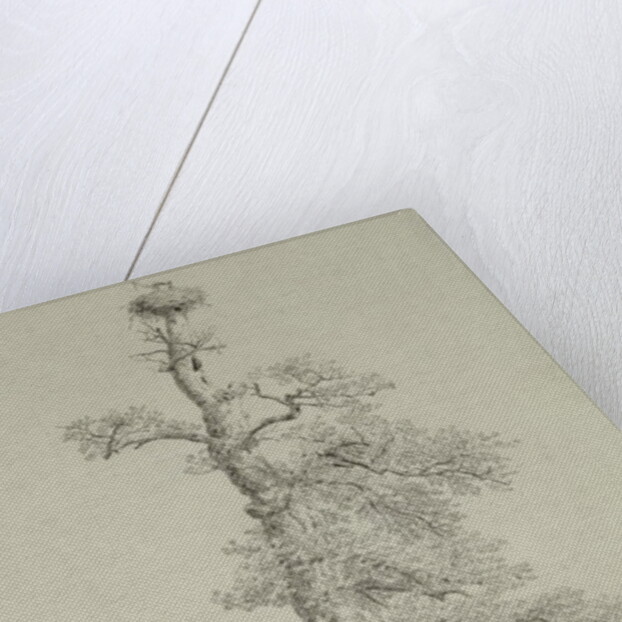 Ancient Oak Tree with a Stork's Nest, 23rd May 1806 by Caspar David Friedrich