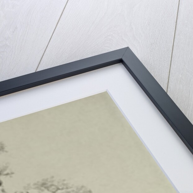 Ancient Oak Tree with a Stork's Nest, 23rd May 1806 by Caspar David Friedrich