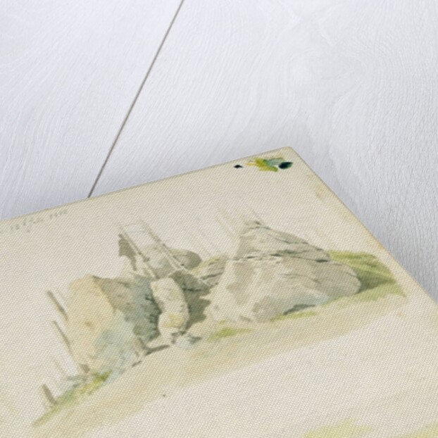 Rock and Tree: Two Studies, 12th July 1810 by Caspar David Friedrich