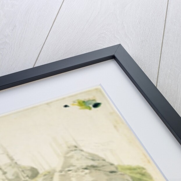 Rock and Tree: Two Studies, 12th July 1810 by Caspar David Friedrich