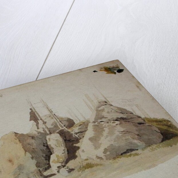 Rock and Tree: unfinished study, 12th July 1810 by Caspar David Friedrich