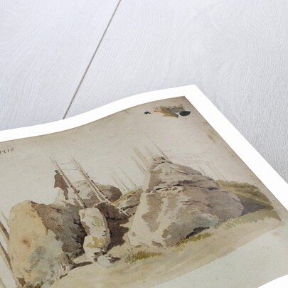 Rock and Tree: unfinished study, 12th July 1810 by Caspar David Friedrich