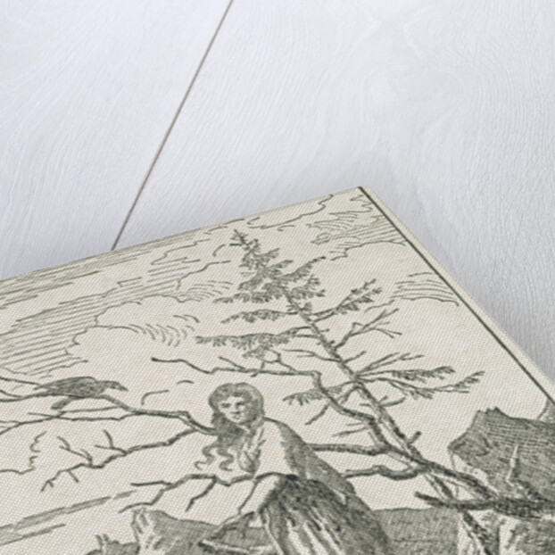 Woman with a Raven, on the Edge of a Precipice by Caspar David Friedrich