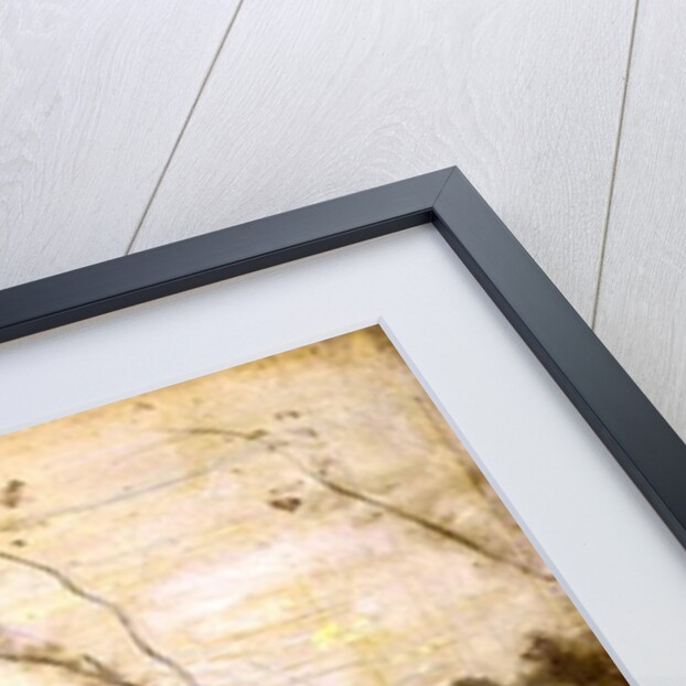 The Pond from the Villa d'Avray, 1865 by Jean Baptiste Camille Corot