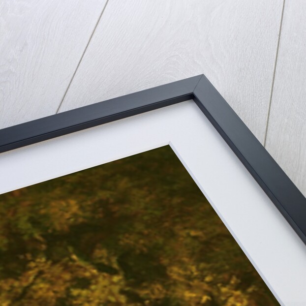 Woodland Thicket by Narcisse Virgile Diaz de la Pena