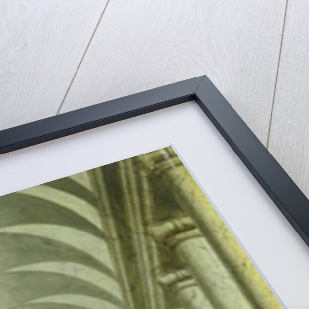 Renaissance Indoor Staircase, 1667 by Wilhelm van Ehrenberg