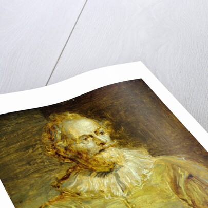 Portrait of Senator Paulus Halmalius by Anthony van Dyck