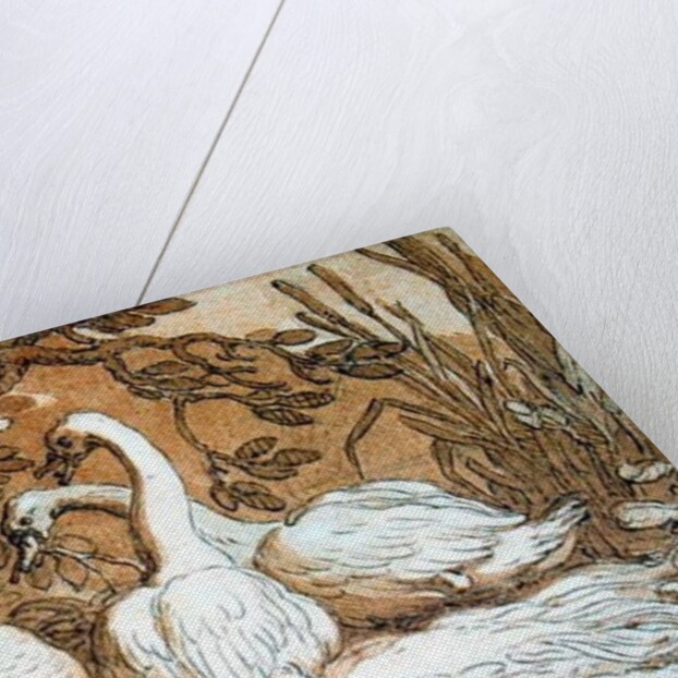 A Group of Swans by Abraham Bloemaert