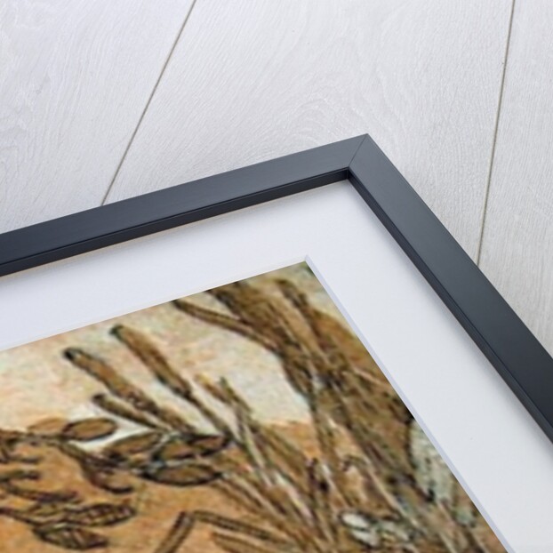 A Group of Swans by Abraham Bloemaert