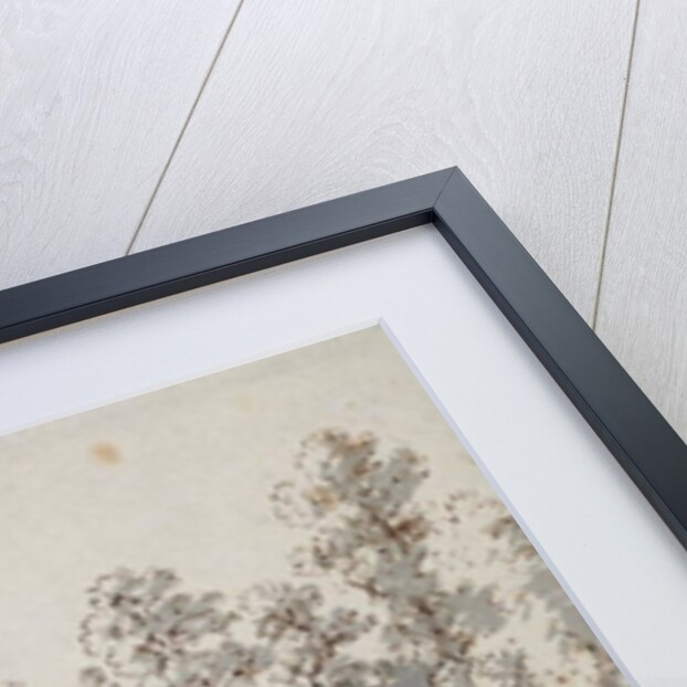 The Watermill by the Ford by Jan Hackaert