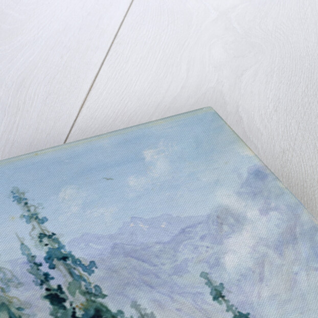 Mountainous landscape, 1876 by Gustave Dore