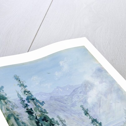 Mountainous landscape, 1876 by Gustave Dore