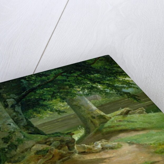 Beech Trees in Frederiksdal near Copenhagen, 1828 by Christian Ernst Bernhard Morgenstern