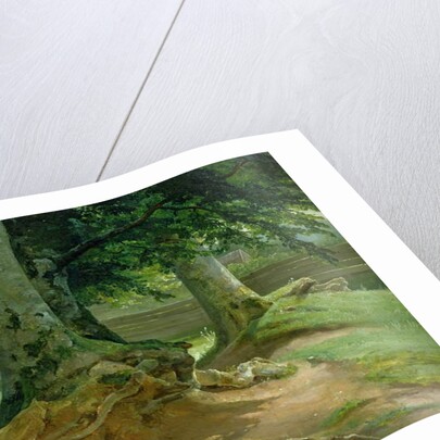 Beech Trees in Frederiksdal near Copenhagen, 1828 by Christian Ernst Bernhard Morgenstern