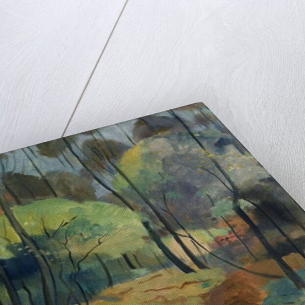 Forest Path, 1920 by Dorothea Maetzel-Johannsen