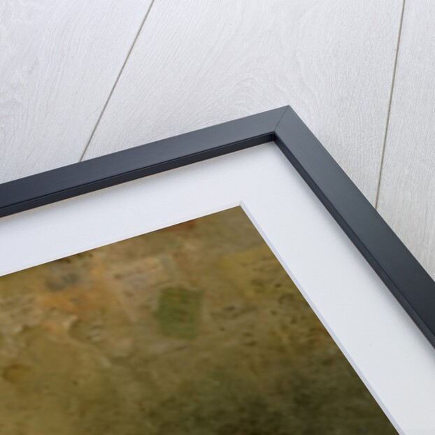 The Hurdy-Gurdy Man, 1869 by Ludwig Knaus