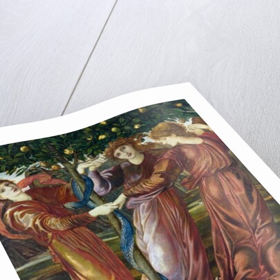 Garden of the Hesperides, 1869-73 by Edward Coley Burne-Jones