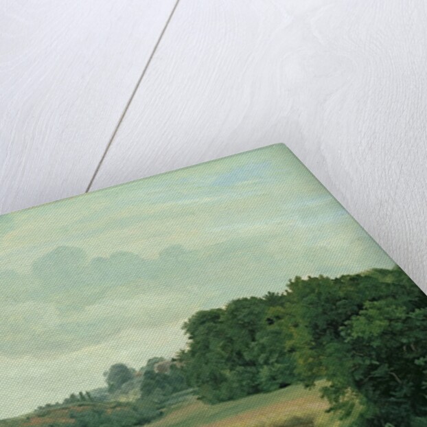 The River Alster at Poppenbuttel in the Morning, 1883 by Johann Herman Carmiencke