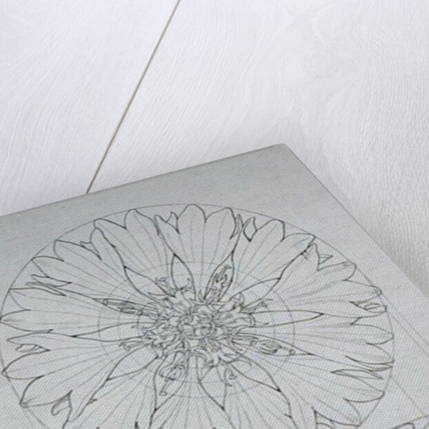 Study for a Cornflower, 1808 by Philipp Otto Runge