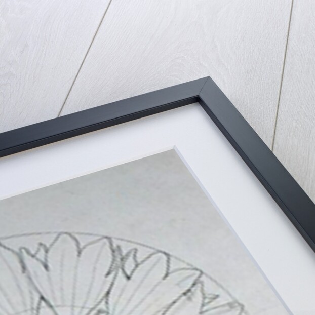 Study for a Cornflower, 1808 by Philipp Otto Runge