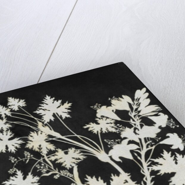 Flowers in Silhouette by Philipp Otto Runge