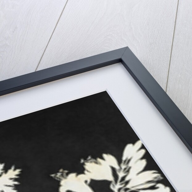 Flowers in Silhouette by Philipp Otto Runge