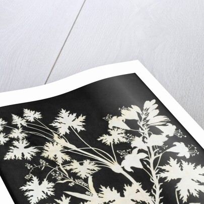 Flowers in Silhouette by Philipp Otto Runge