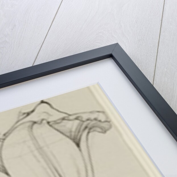 Genius of the Lily, 1809 by Philipp Otto Runge