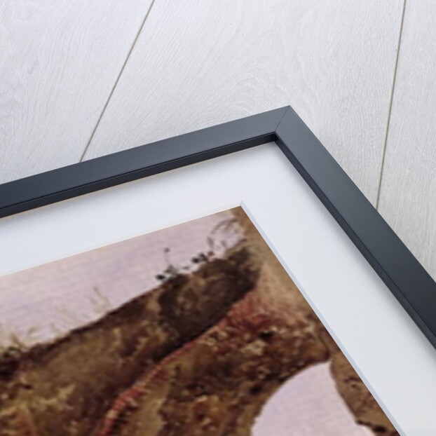 The Colosseum, Rome, 1835 by Rudolph von Alt