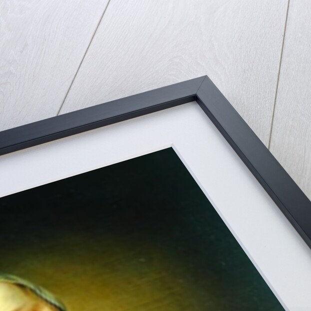 The Kitchen Maid, 1715 by Balthasar Denner