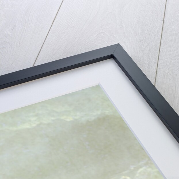 The Elbe Valley Near Dresden by Johan Christian Dahl