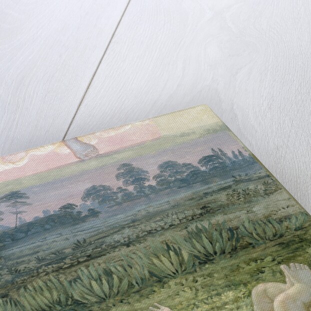 A section from the second version of 'The Morning', 1809 by Philipp Otto Runge